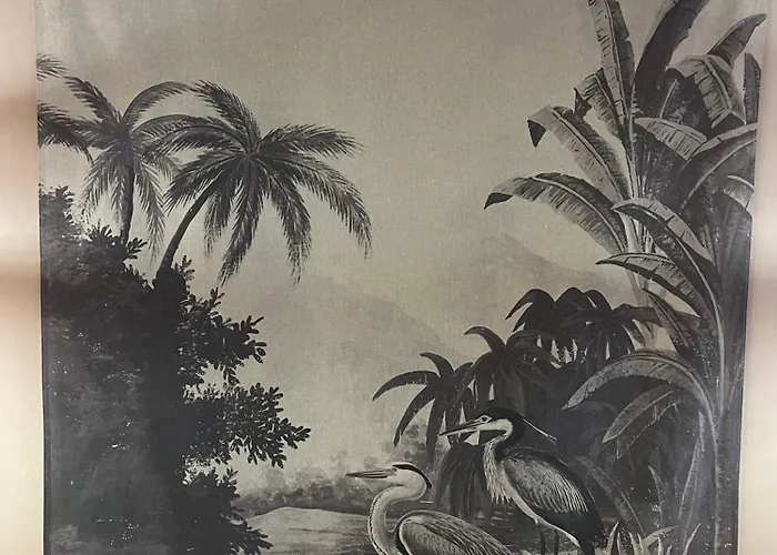 Appartement Posez Vos Valises ! La Vous Attend Amiens